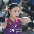 낮에는 호랑이였다가 밤에는 강아지 되는 사람은? ㅈㅇ 김연경 이미지