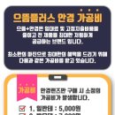 인천안경 이미지