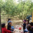 삼한농장 이미지