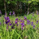 시골나들이 이미지