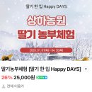 고창중앙 동물병원 | "기업이 하는곳은 다르네.." 고창 상하농원 입장권, 파머스빌리지 후기