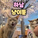 하남 고양이와 함께노는 만화카페 냥이툰 강력추천