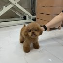 수원-0871 이미지