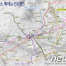 서울시 심야버스 노선 7개 추가…12일부터 운행 이미지