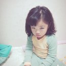 혜성태권도체육관 이미지