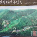 초막산림 이미지