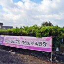 규남농장 이미지