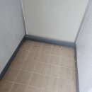 새집클로버 이미지