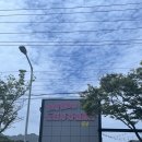 셀프킹EV | 셀프킹EV / 의정부 장암동 노터치 노브러시 세차 후기