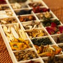 아침나무한의원 이미지