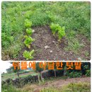 하가리집 이미지