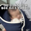 다산진약국 | 다산 진소아과 신생아 BCG 주사와 1차 영유아 검진: BCG 주사란?