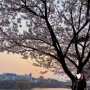 우리나현유치원 이미지