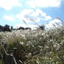 반여초교 이미지