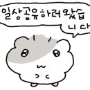 둥이 노래연습장 이미지