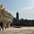 불정마트 이미지