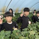 서린농장 이미지