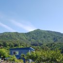 장미꽃핀집 이미지