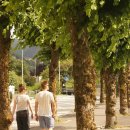 보문효사랑요양병원 이미지