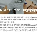 셀아처