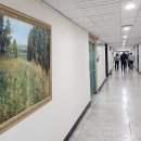 지역 예술인 작품 전시 이미지