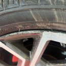 티피클럽 이미지