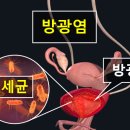 하이닥터 이미지