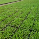 우솔농장 이미지