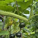 오미리 마을회관 이미지