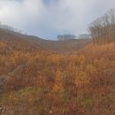 품걸리오지마을길(봄내길 6코스) 이미지