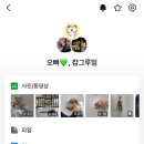 캄그루밍 이미지