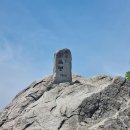 다음매일투어/산악회