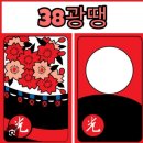 광 이미지
