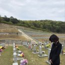 보배의원 이미지