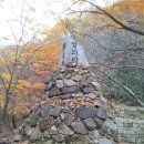 강천사 - 1260 | 강천사