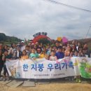 새빛초등학교 이미지