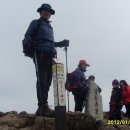 대교주유소 이미지