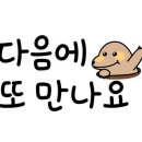 스시태 이미지