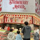 오사카 디저트 투어 스트로베리 매니아 솔직 후기