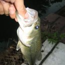 능애 낚시터 이미지