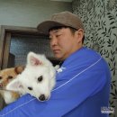 트레벨동물병원