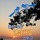 햇살 이미지