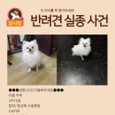 권선초교 이미지