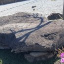 대덕읍 행정복지센터 이미지