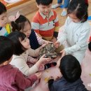 죽산초교병설유치원 이미지