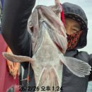흑산후크