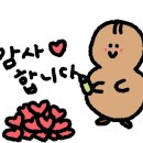 마마운동화이불빨래방 이미지