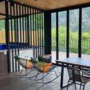 강아지풀 애견 이미지