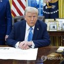 쏘아 이미지