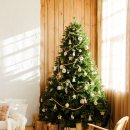 so tree farm 이미지